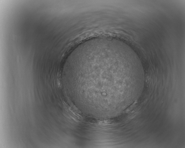 X0000063511490200602032029