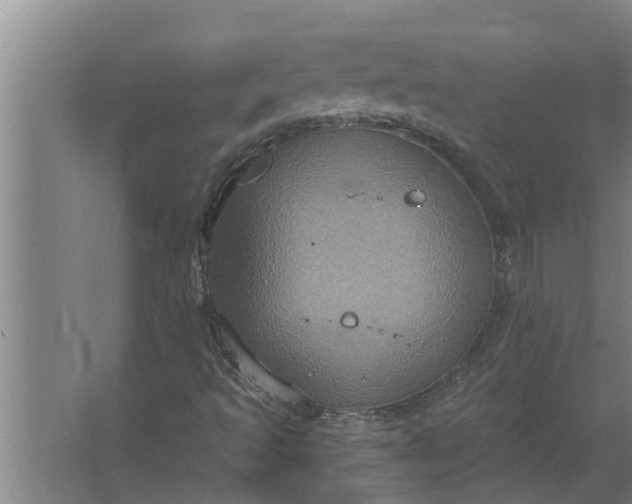 X0000063511493200602032030