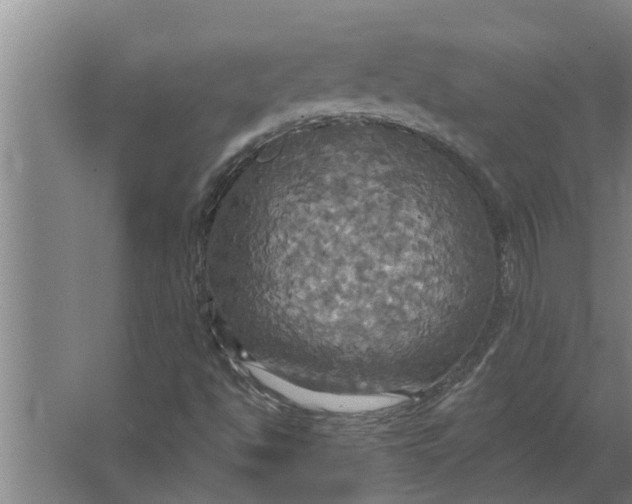 X0000063511494200602032030