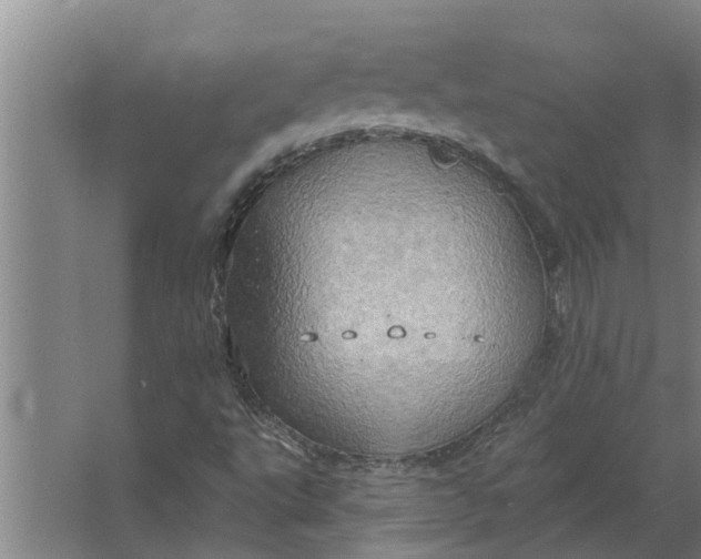 X0000063511495200602032030