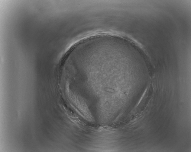 X0000063511496200602032030