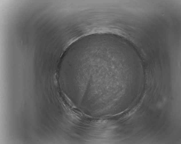 X0000063511497200602032030