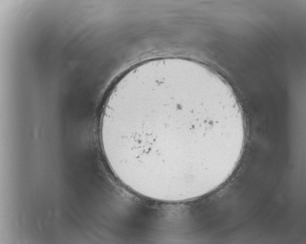 X0000063511498200602032030