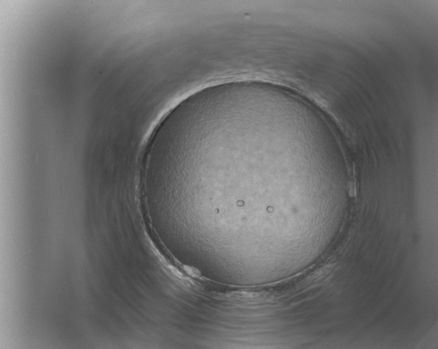 X0000063511500200602032030