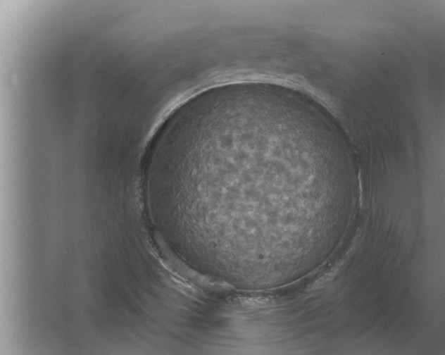 X0000063511501200602032030