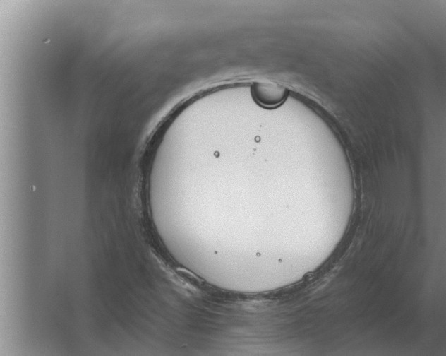 X0000063511502200602032030