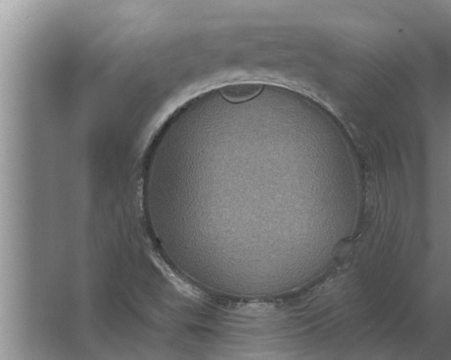 X0000063511503200602032030