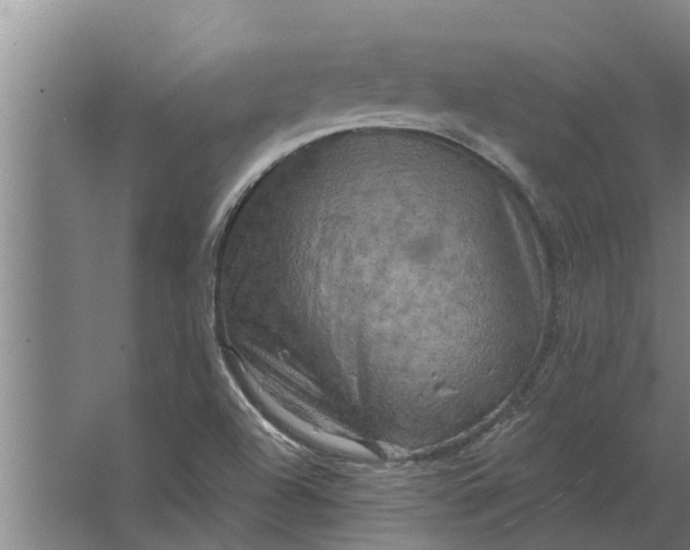 X0000063511504200602032030