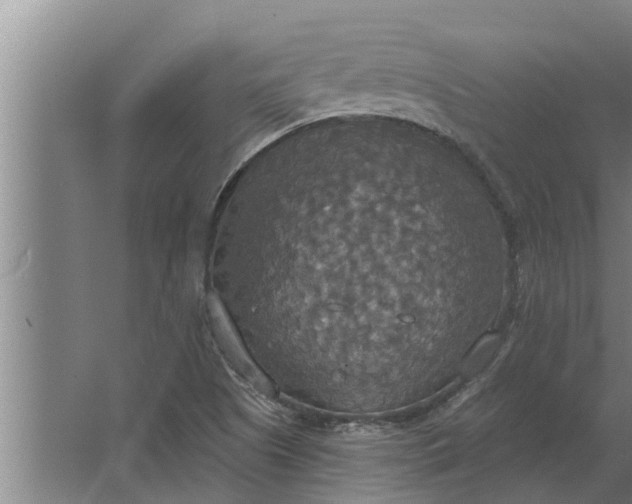 X0000063511505200602032030