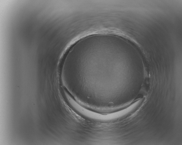 X0000063511506200602032030