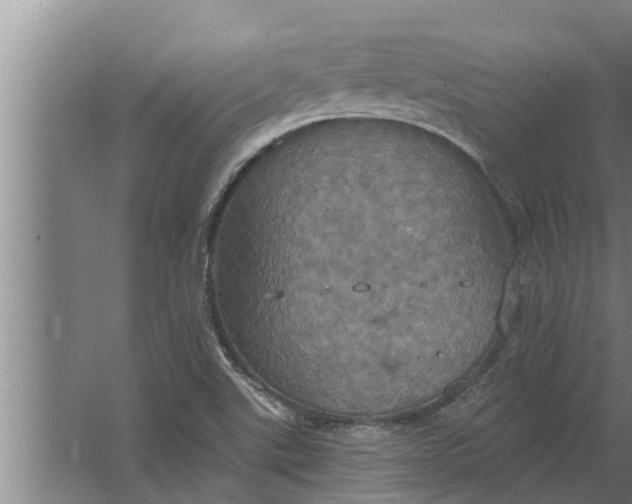 X0000063511507200602032030