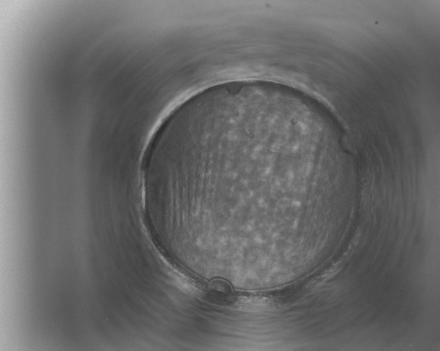 X0000063511509200602032030