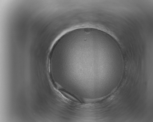 X0000063511510200602032030