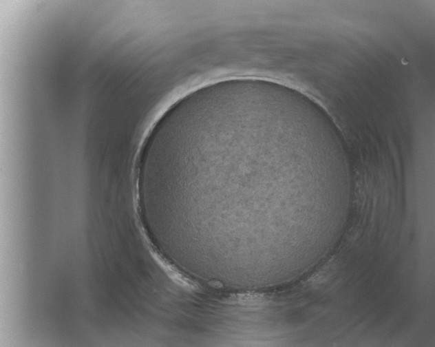 X0000063511511200602032030