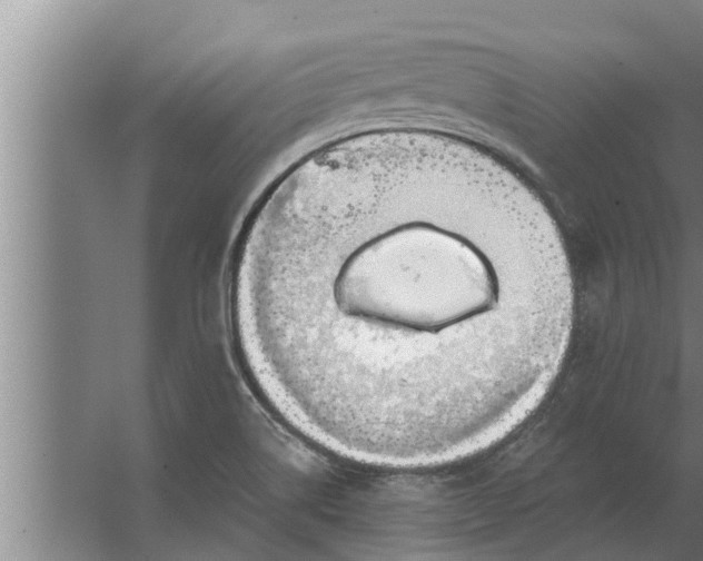 X0000063511514200602032030