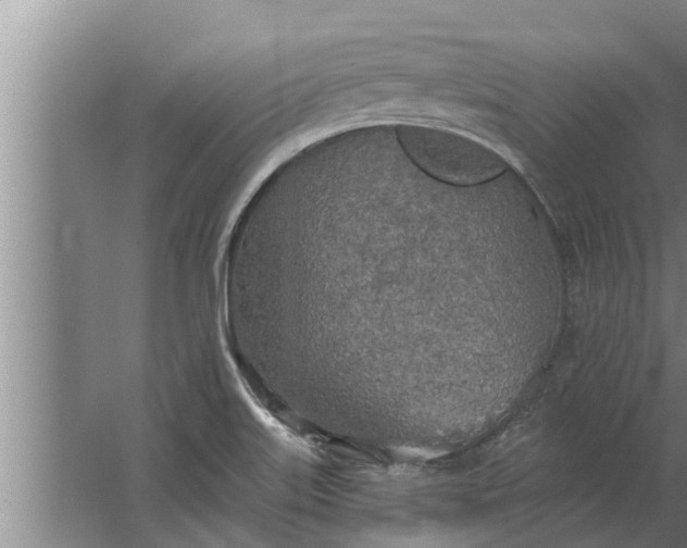 X0000063511515200602032030