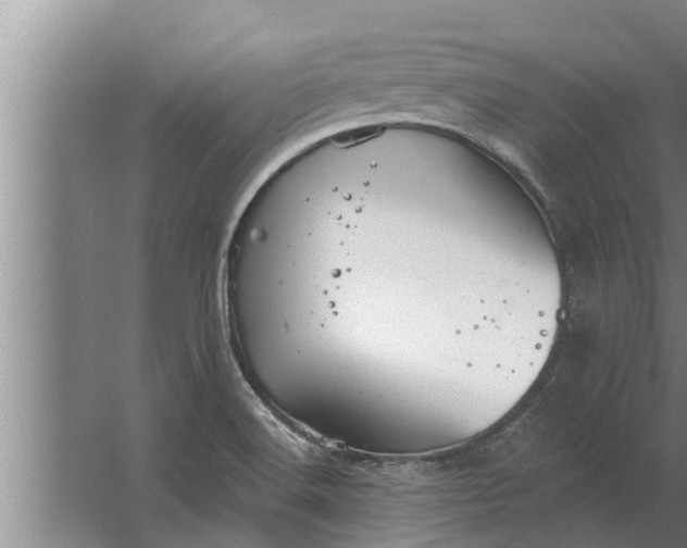 X0000063511516200602032030