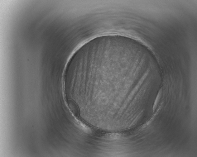 X0000063511517200602032030