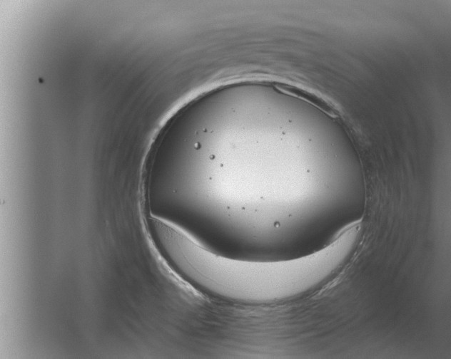 X0000063511518200602032030