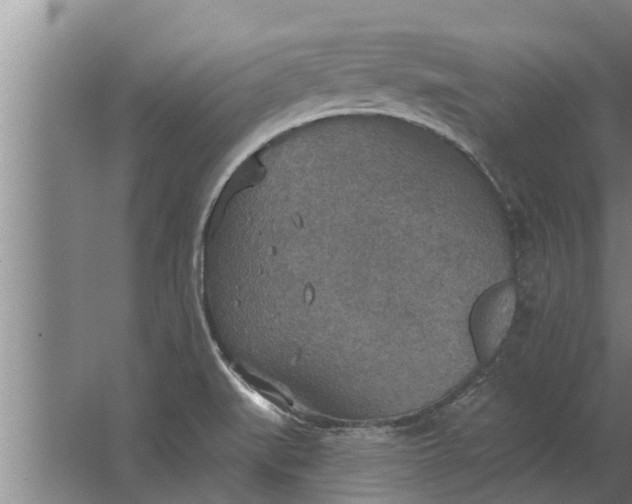 X0000063511519200602032030