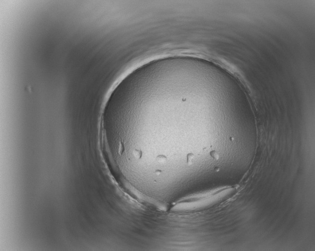 X0000063511520200602032030