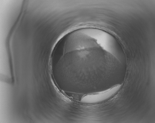 X0000063511522200602032030