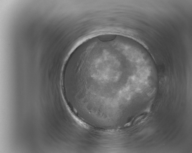 X0000063511523200602032030