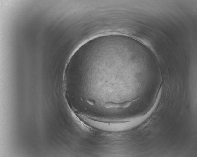 X0000063511524200602032030