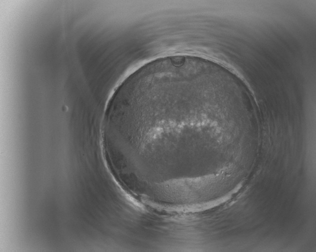 X0000063511525200602032030