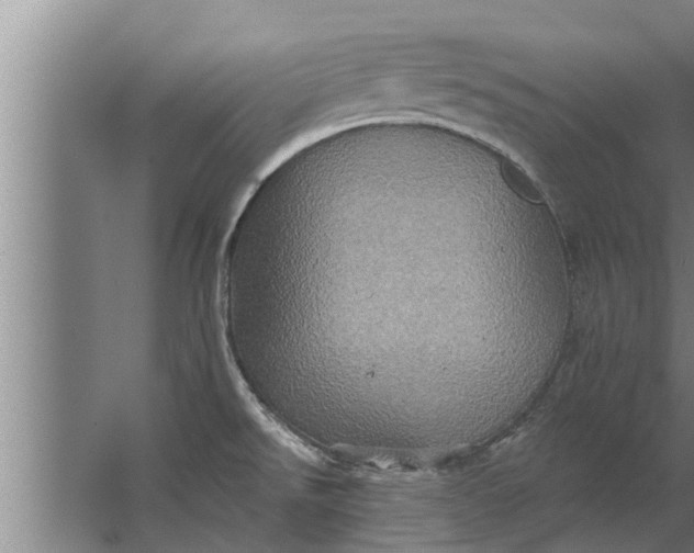 X0000063511526200602032030