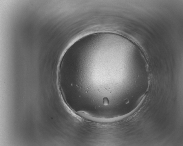 X0000063511528200602032030