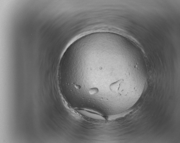 X0000063511530200602032030