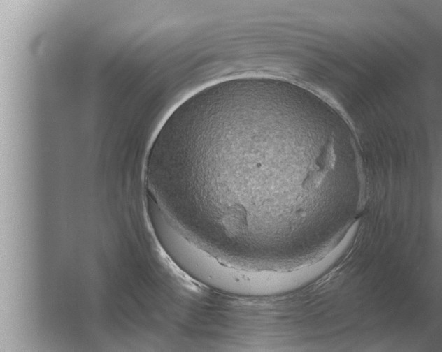 X0000063511532200602032030