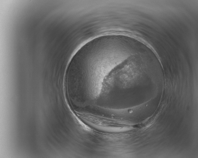 X0000063511533200602032030