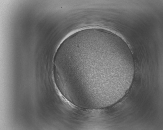 X0000063511534200602032030