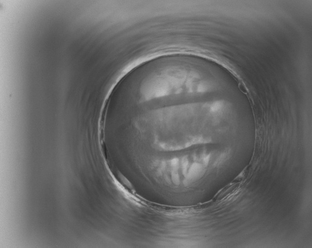 X0000063511535200602032030