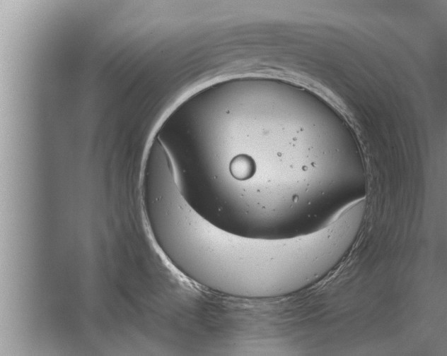 X0000063511536200602032030