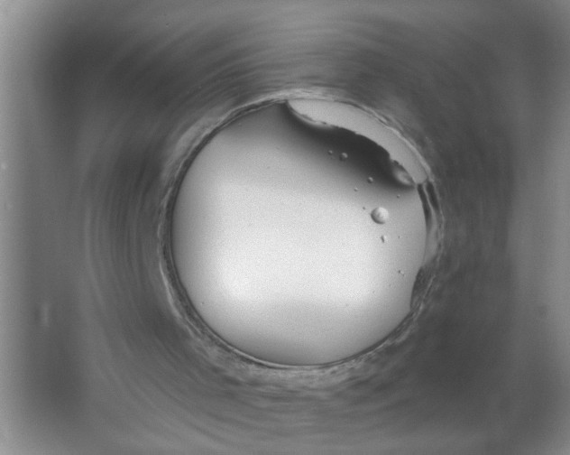 X0000063510001200602101937