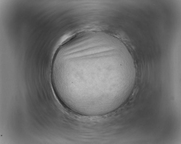 X0000063510003200602101937