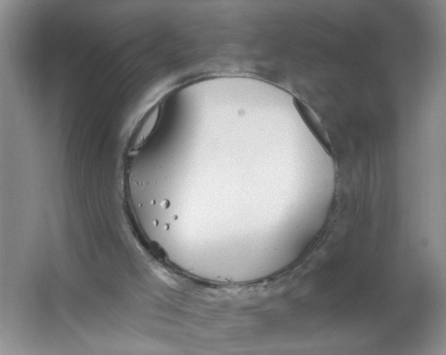 X0000063510005200602101937