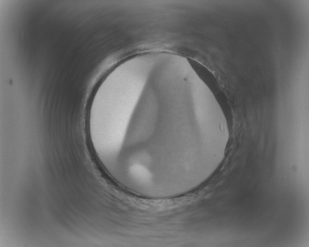 X0000063510006200602101937