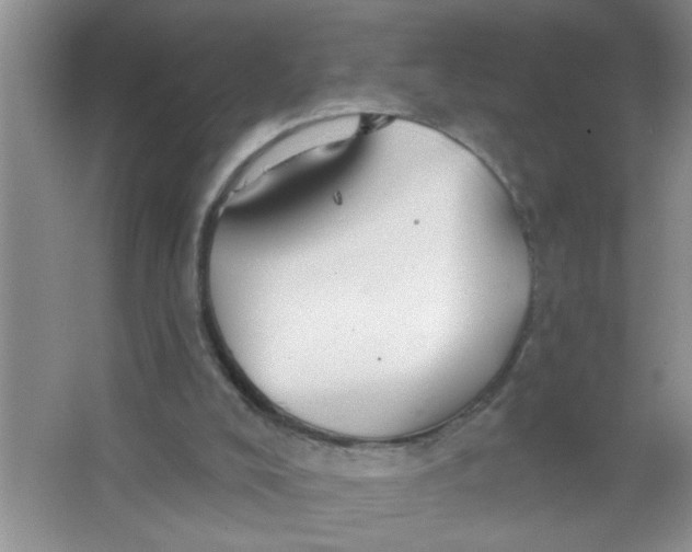 X0000063510008200602101937