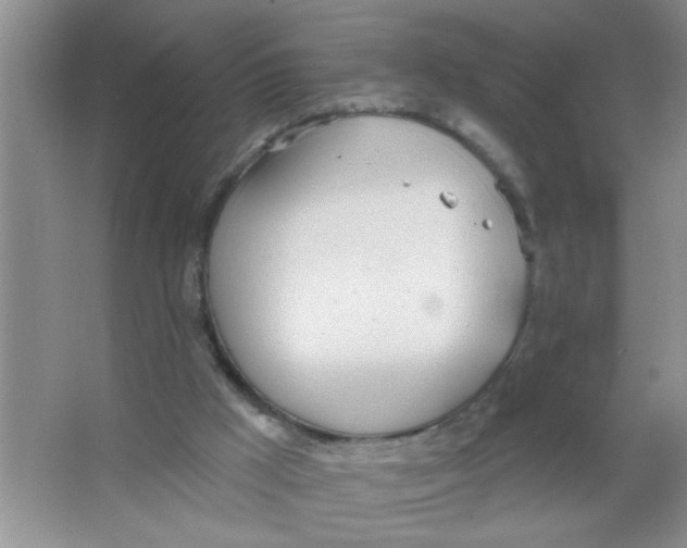 X0000063510009200602101937