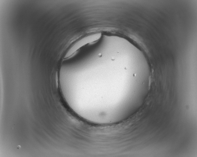 X0000063510013200602101937