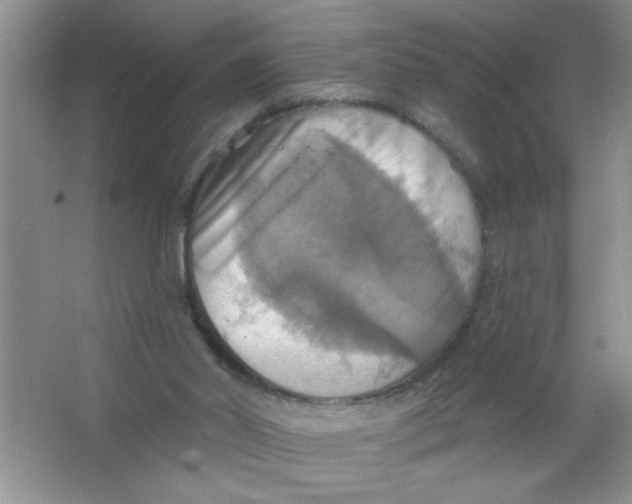 X0000063510014200602101937