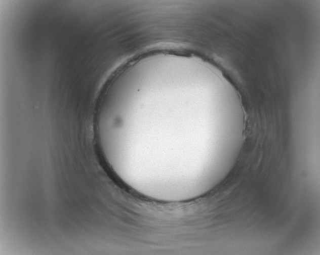 X0000063510015200602101937