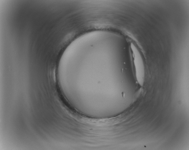 X0000063510019200602101937