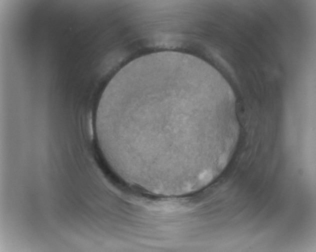 X0000063510020200602101937