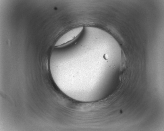 X0000063510021200602101937