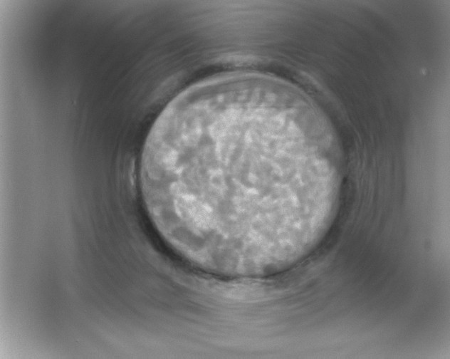 X0000063510024200602101937